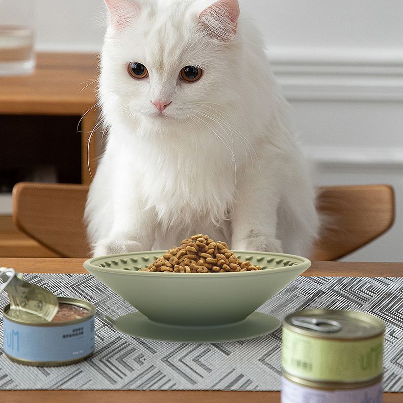 Silicone Pet Products